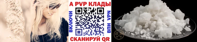 A PVP СК  Долгопрудный 