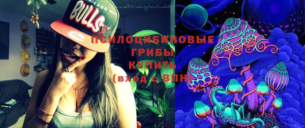 прущая мука Вязники