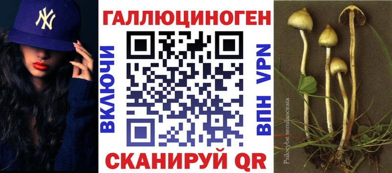 Псилоцибиновые грибы ЛСД  Долгопрудный 